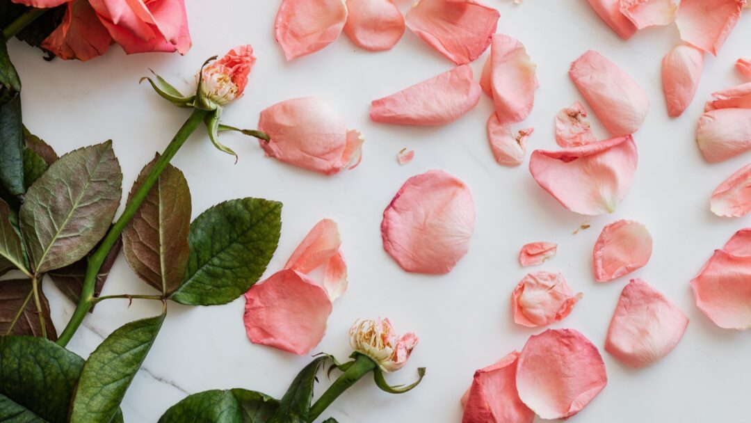 Lettre d’adieu premier amour – Ces mots jamais dits